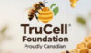 For all your Apiary needs